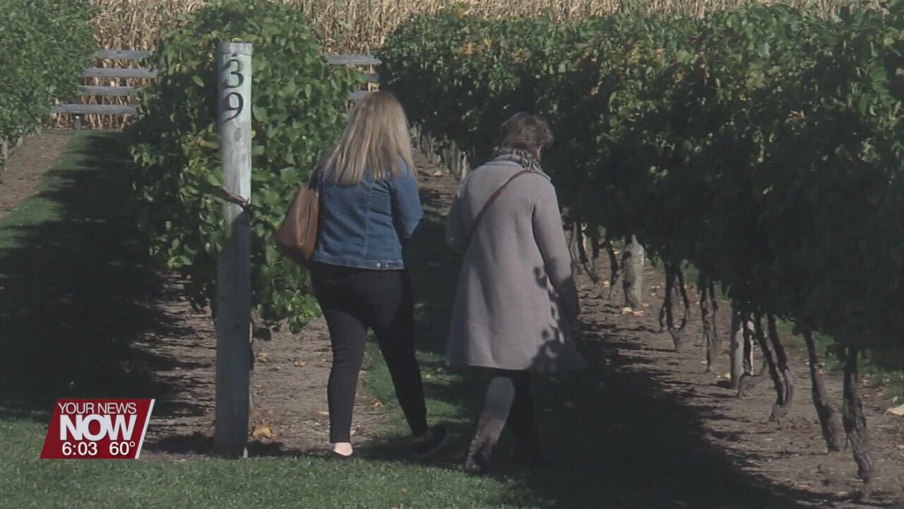 United Way of Auglaize County holds “Wine Stroll”